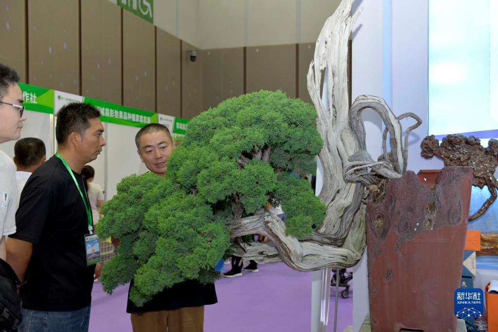 神人捕鱼大闹天宫